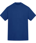 Anthem Amplify heavyweight t-shirt