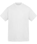 Anthem Amplify heavyweight t-shirt